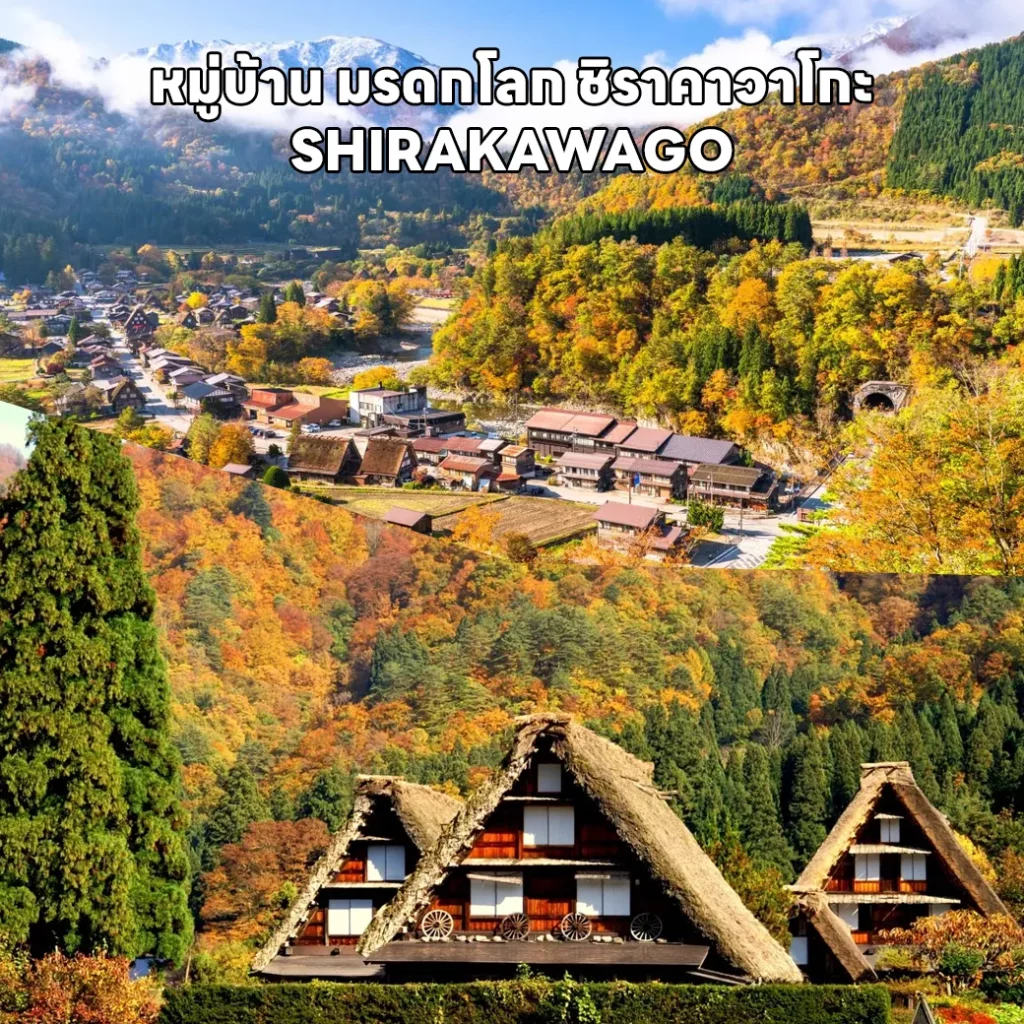 RJ-XJ089 OSAKA KAMIKOCHI TAKAYAMA KYOTO AUTUMN (2)_result