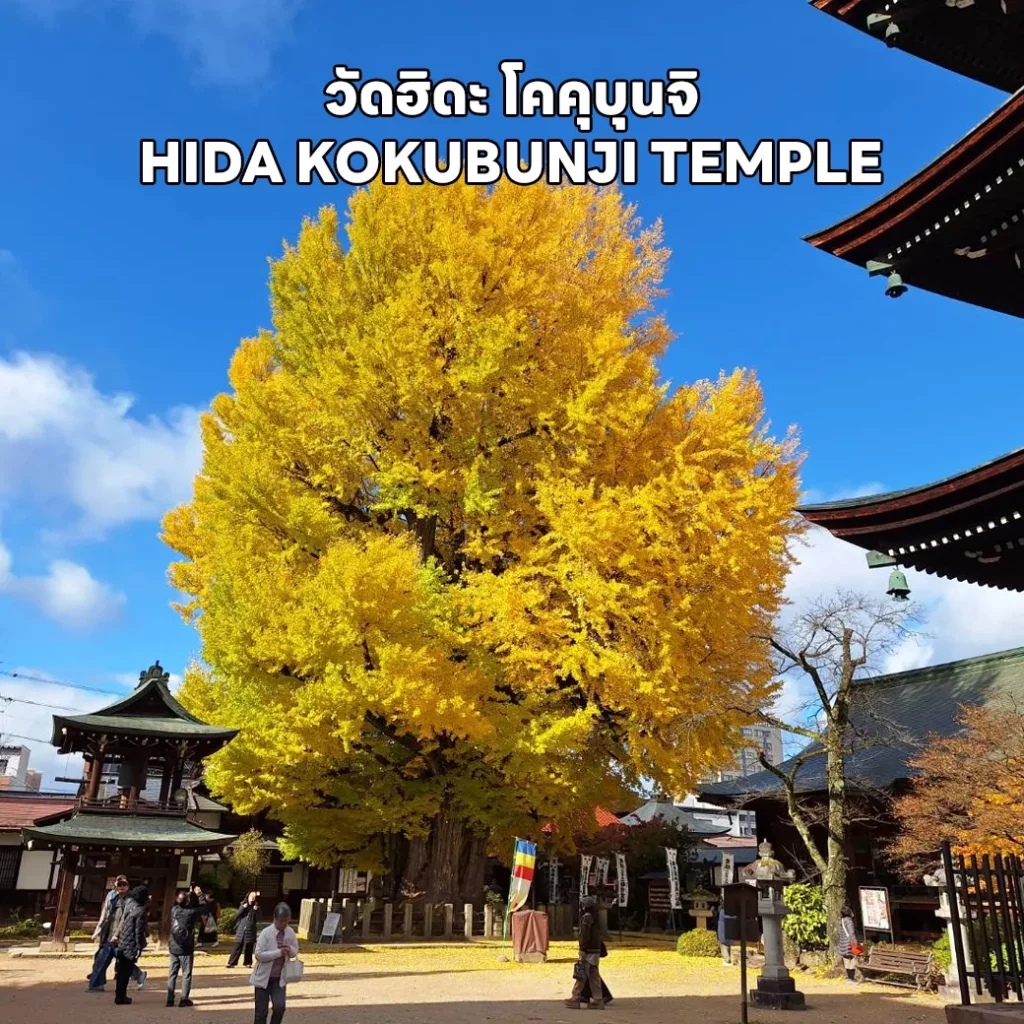 RJ-XJ089 OSAKA KAMIKOCHI TAKAYAMA KYOTO AUTUMN (4)_result