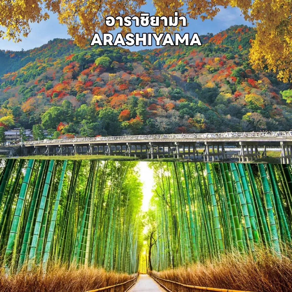 RJ-XJ089 OSAKA KAMIKOCHI TAKAYAMA KYOTO AUTUMN (5)_result